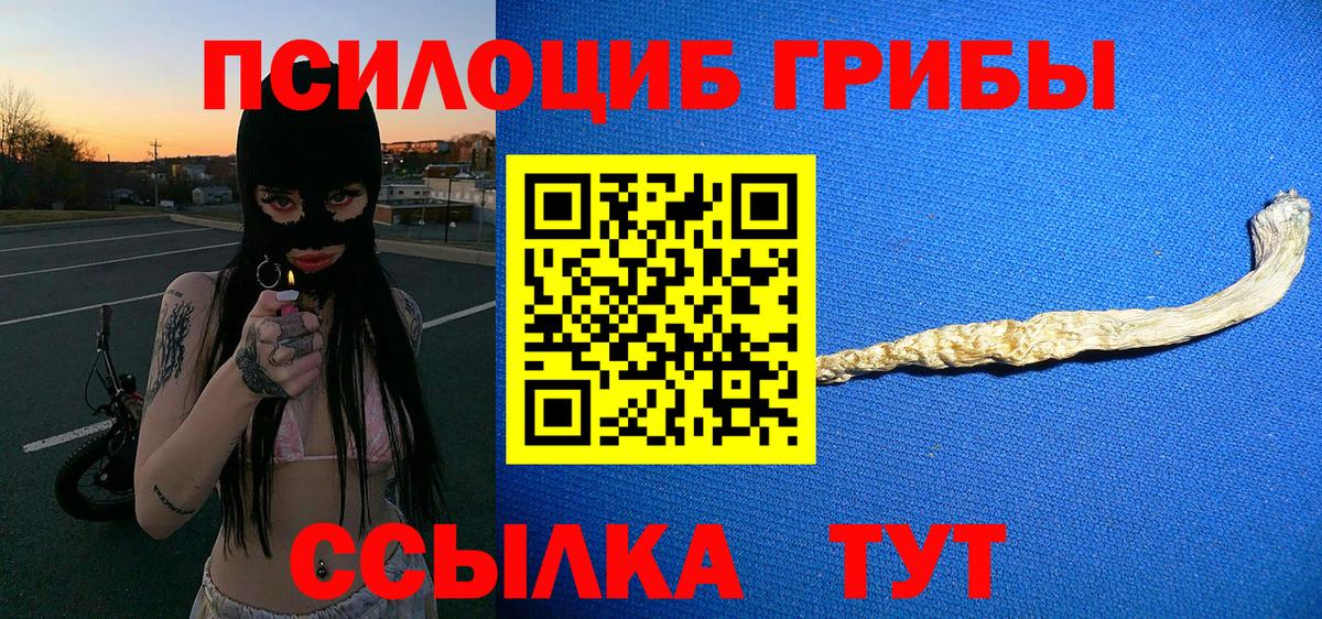 Галлюциногенные грибы MAGIC MUSHROOMS Димитровград
